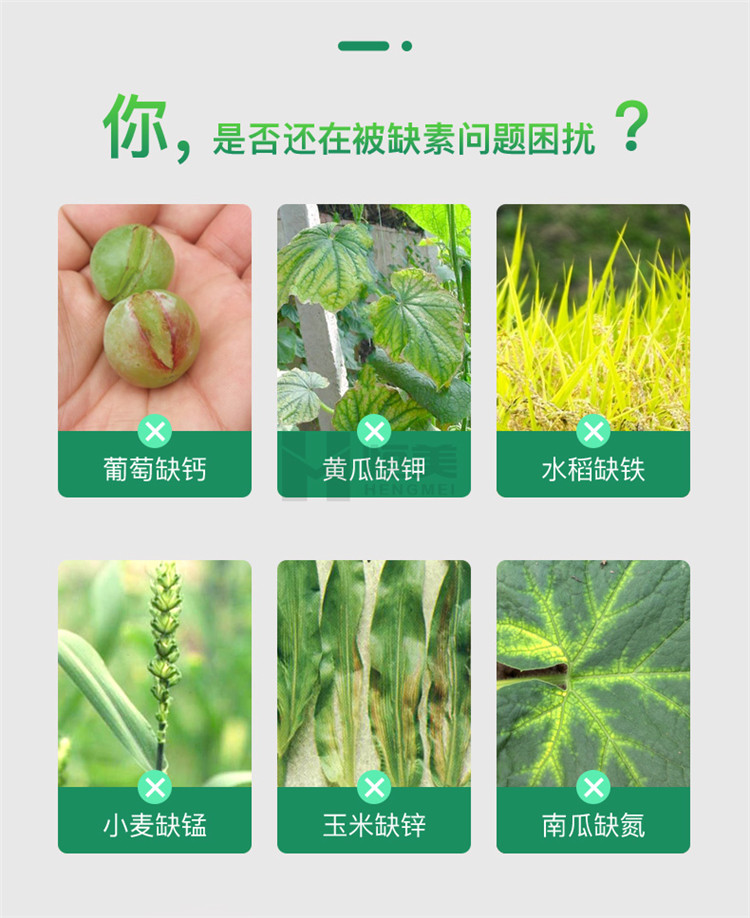 高智能土壤養(yǎng)分檢測(cè)儀怎么選？